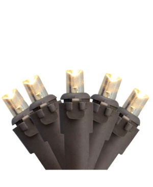 Northlight Set of 50 Warm White Led Wide Angle Christmas Lights - Brown Wire