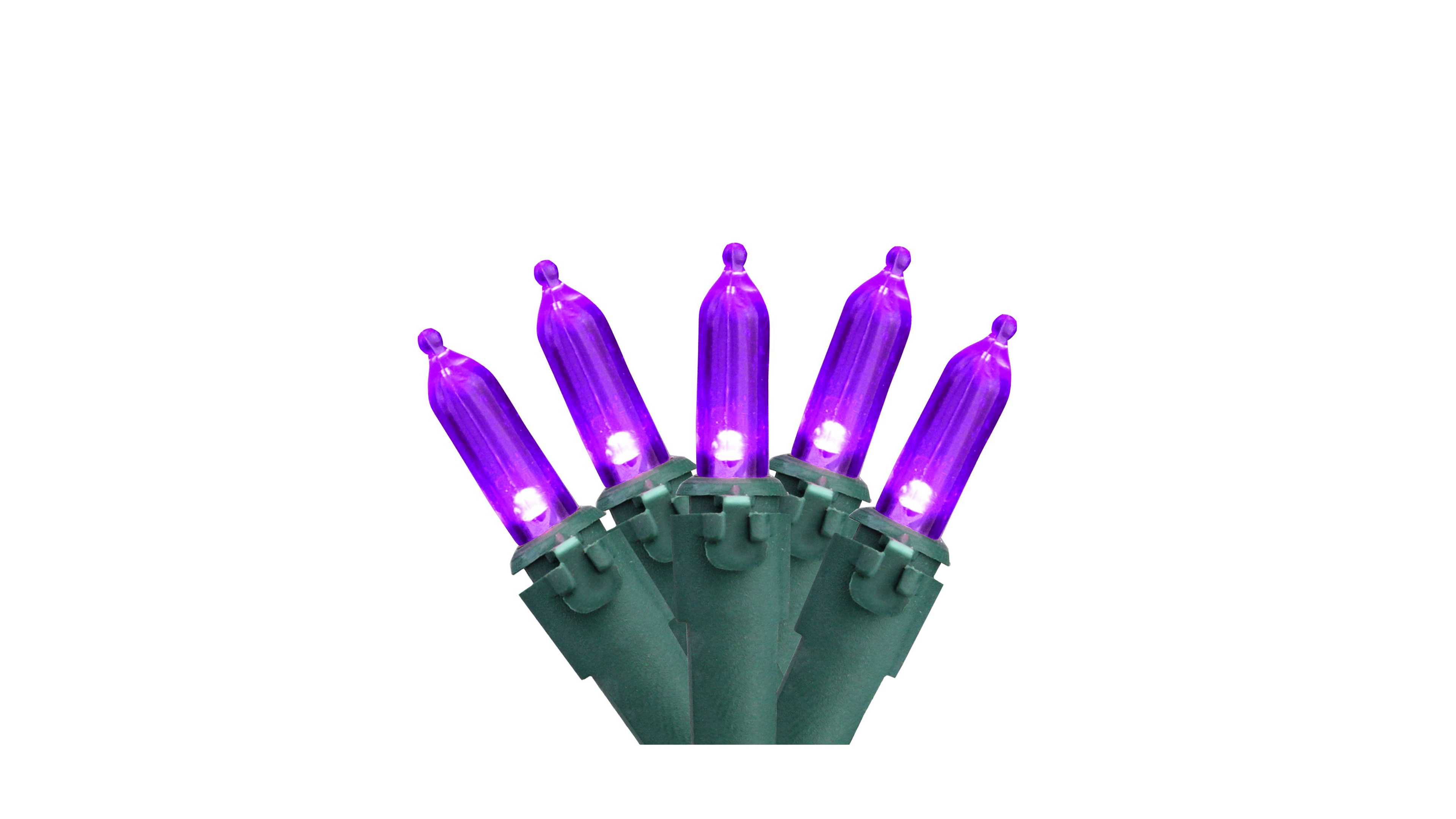 Northlight Purple 100-Bulb Led Mini Christmas Lights 33 ft Green Wire