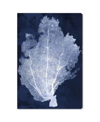 Oliver Gal Coral Fan Cyanotype 2 Canvas Art Collection