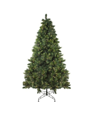 Northlight 75' Pre-Lit Sequoia Mixed Pine Artificial Christmas Tree - Clear Lights
