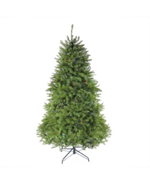 Northlight 65' Pre-Lit Northern Pine Full Artificial Christmas Tree - Multi-Color Led Lights