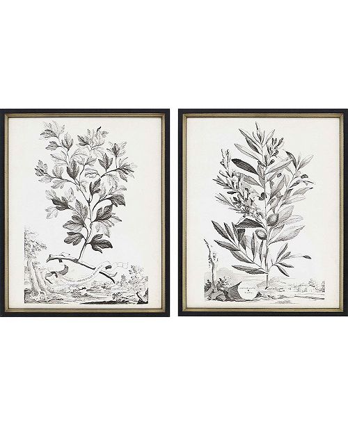 Paragon Botanicals Iii Framed Wall Art Set Of 2 22 X 18