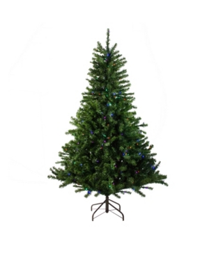 Northlight 10' Pre-Lit Canadian Pine Artificial Christmas Tree - Multi Led Lights
