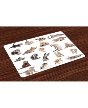 Ambesonne Cat Place Mats Set of 4