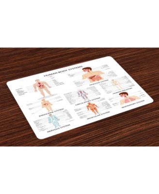 Ambesonne Human Anatomy Place Mats, Set of 4 - Macy's