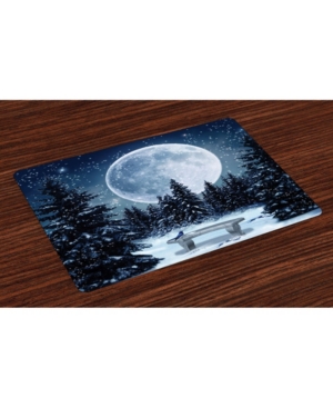 Ambesonne Winter Place Mats Set of 4