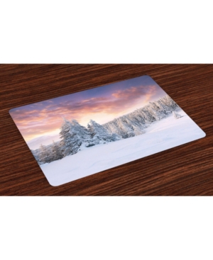 Ambesonne Winter Place Mats Set of 4