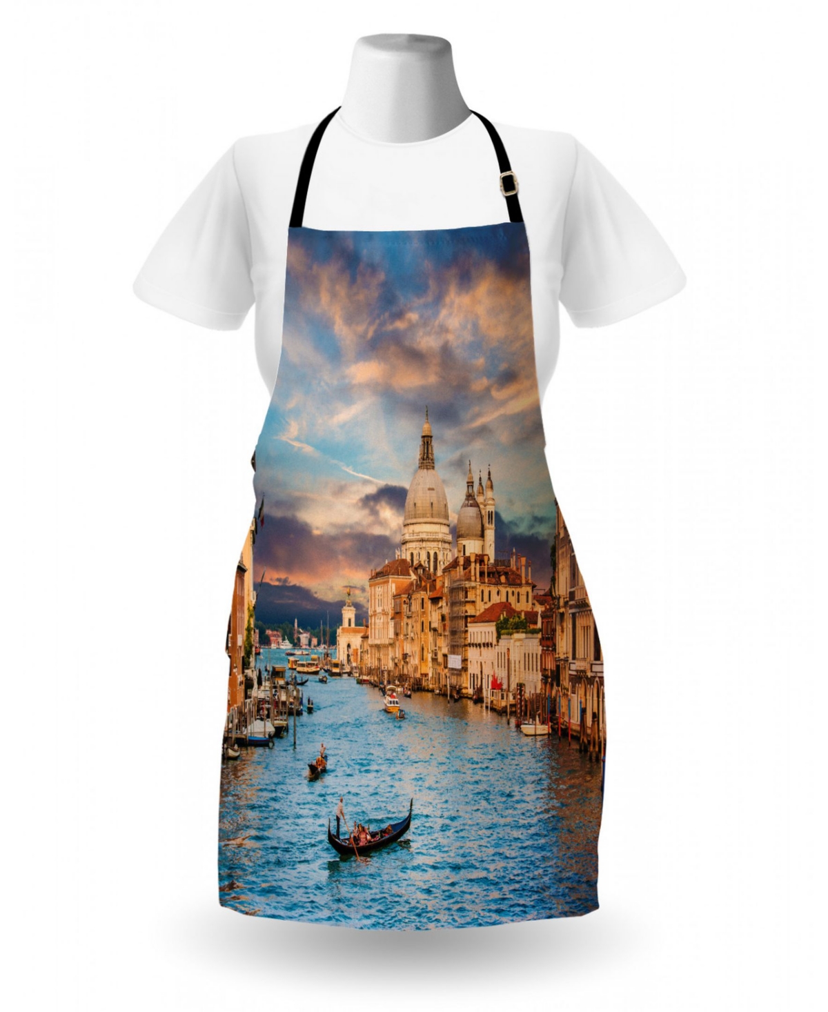 Ambesonne Venice Apron