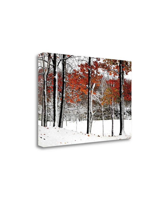 Tangletown Fine Art Snowfall by Burney Lieberman Fine Art Giclee
