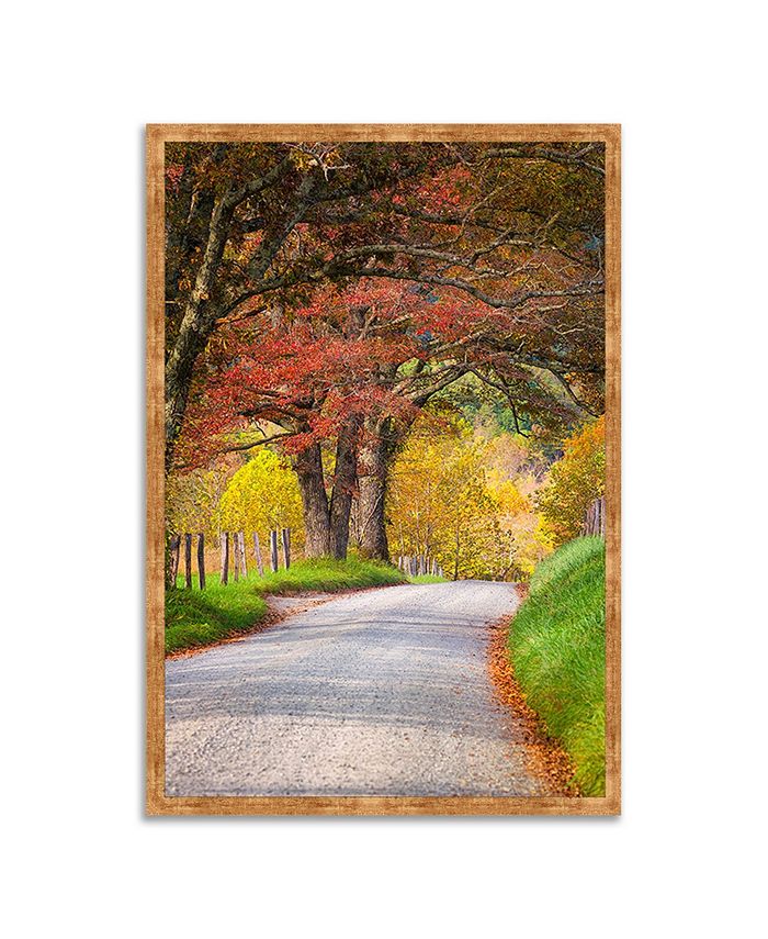Tangletown Fine Art Country Road I Framed Photograph Print, 22