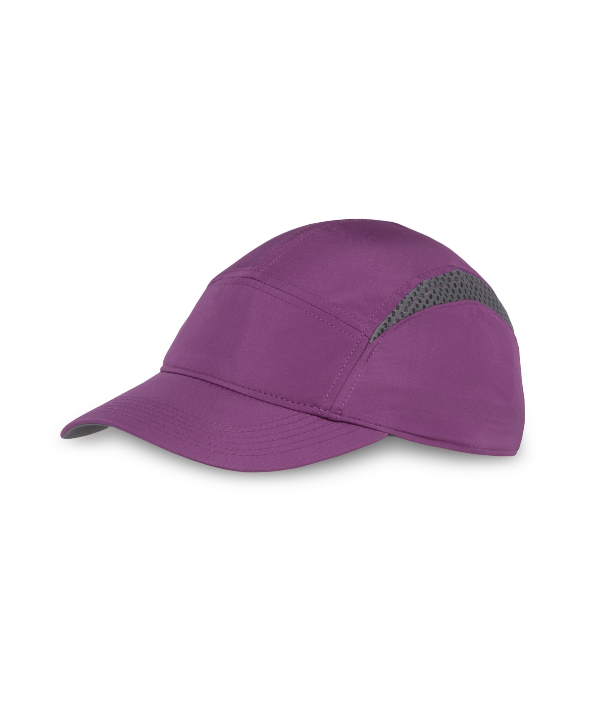 Sunday Afternoons Aerial Cap In Plum