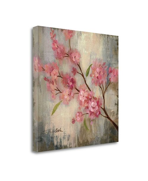 Tangletown Fine Art Cherry Blossom Ii By Silvia Vassileva Giclee