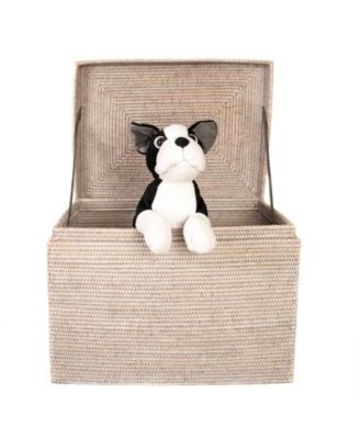 Rectangular Hinged Chest/Trunk