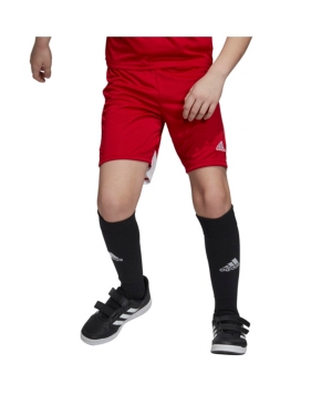 Shop Adidas Originals Big Boys Tastigo 19 Shorts In Red