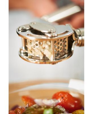 Garlic or Ginger Press with Scraper