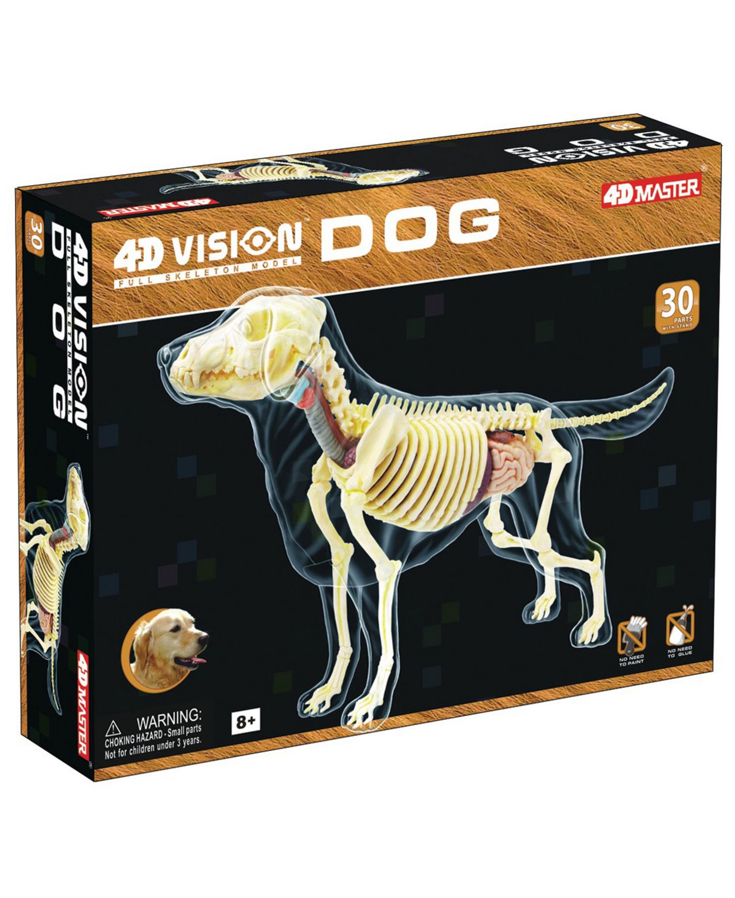 Детские игрушки 4D Master 4D Vision Full Skeleton Dog Model — фото 1