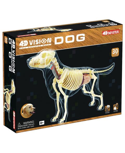 Детские игрушки 4D Master 4D Vision Full Skeleton Dog Model