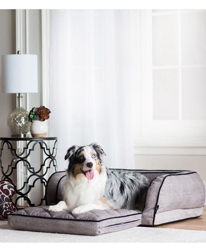Fold away dog clearance bed