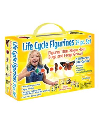 Insect Lore Stem Learning Life Cycle Stage Figurines