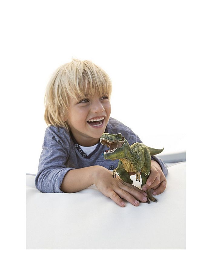 Schleich Dinosaur Figurine - Tyrannosaurus Rex main image 0