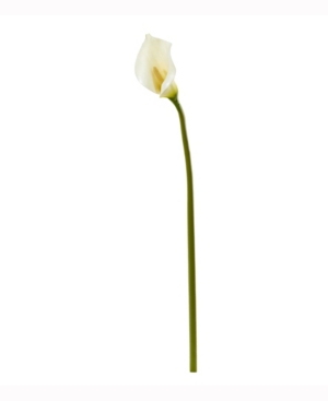 Nearly Natural 30in. Calla Lily Artificial Flower Set Of 6 In White