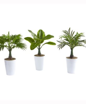 Nearly Natural - 18in. Assorted Mini Palm and Banana Artificial Plant in White Planter Set of 3