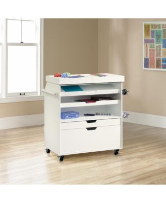 Craft Pro Series Craft and Hobby Storage