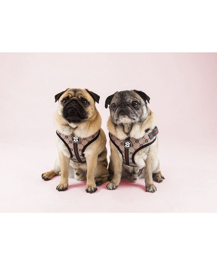 Fresh Pawz The GPattern Adjustable Mesh Harness Macy's