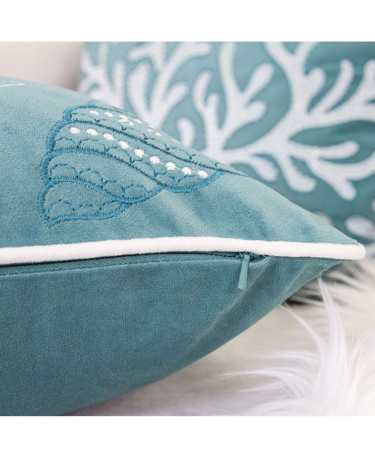 Seashell 20
