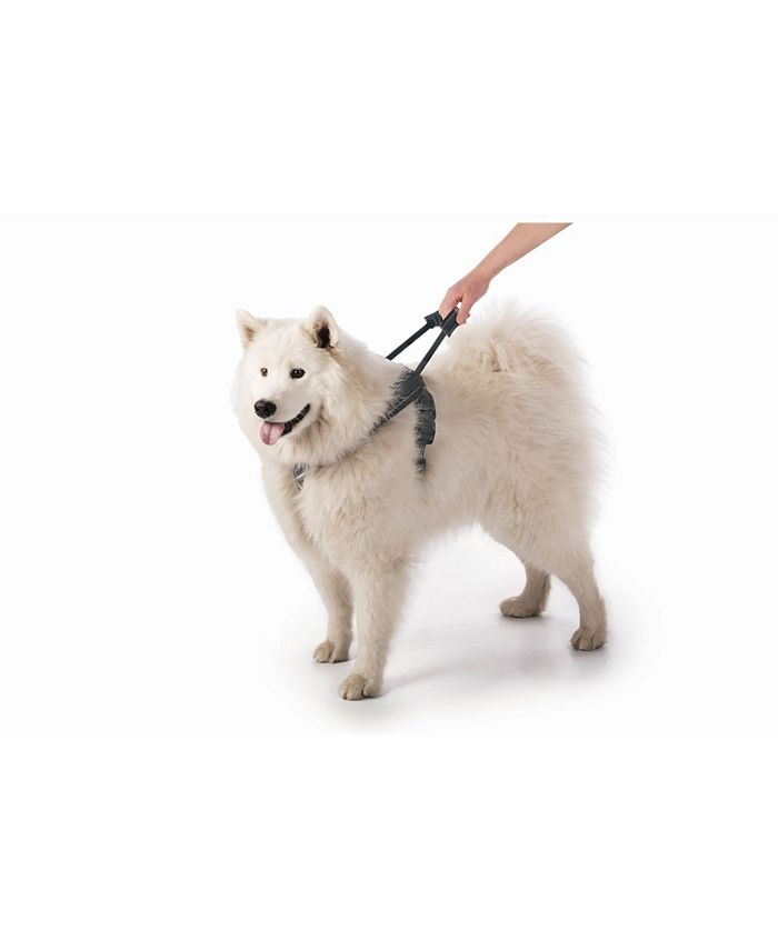 Sherpa Dog Harness with Builtin Leash Macy's