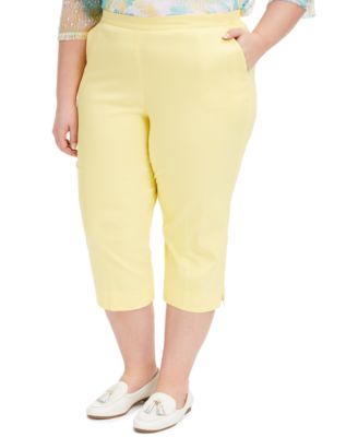 alfred dunner capris plus size