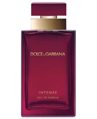 macy's dolce & gabbana