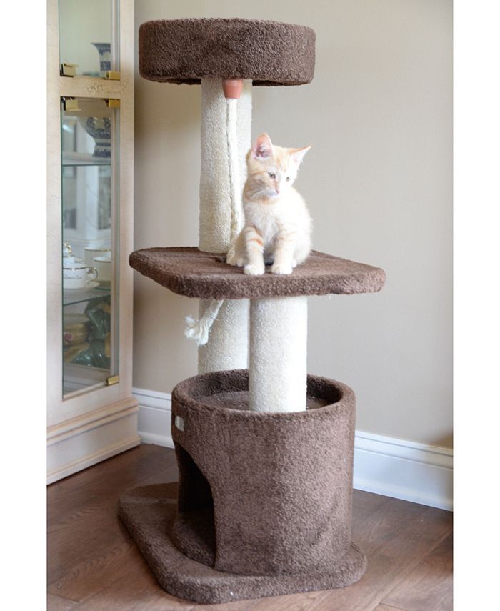 Armarkat 3Tier Carpeted Real Wood Cat Tree Condo Macy's
