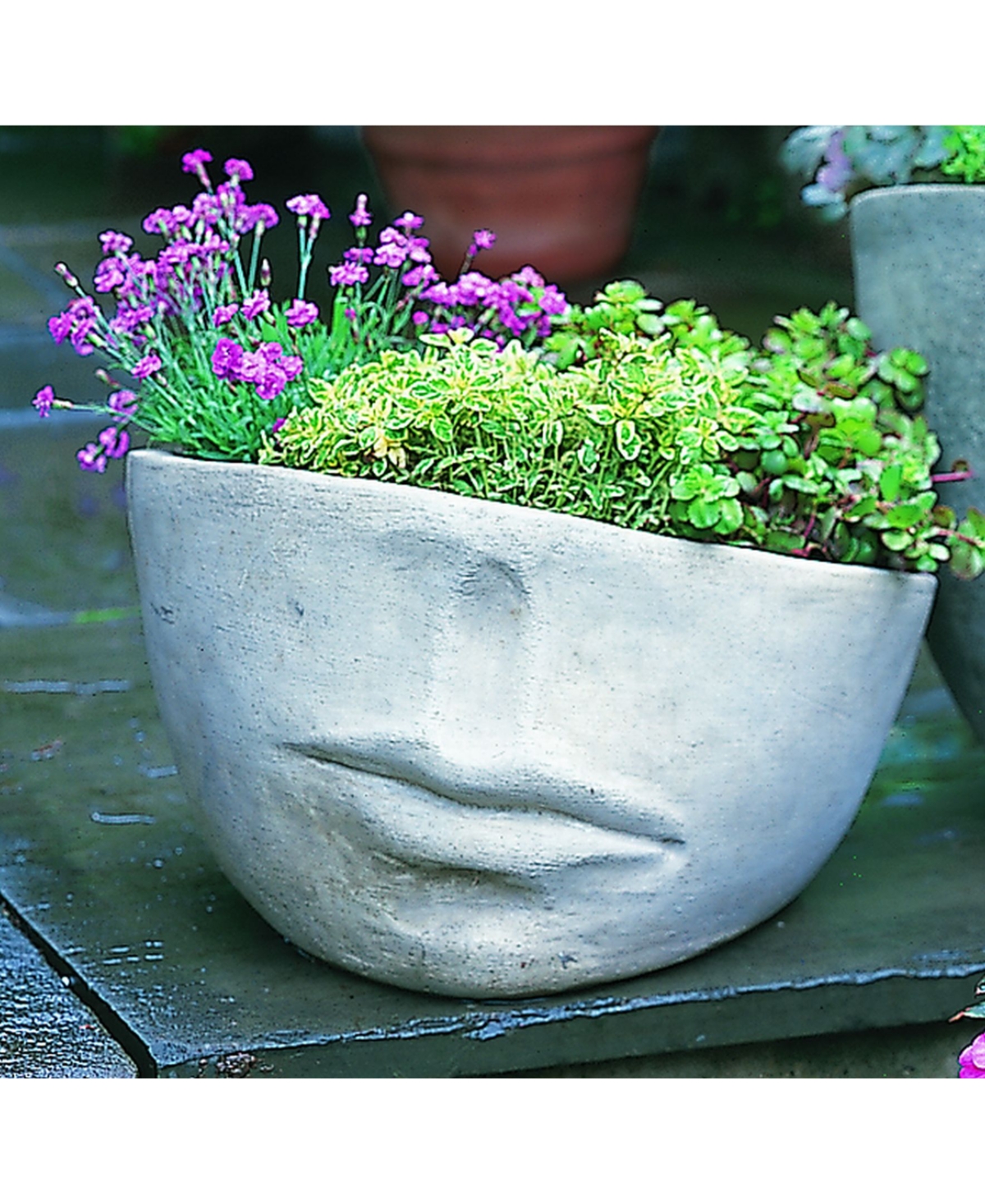 Faccia Planter - Slate