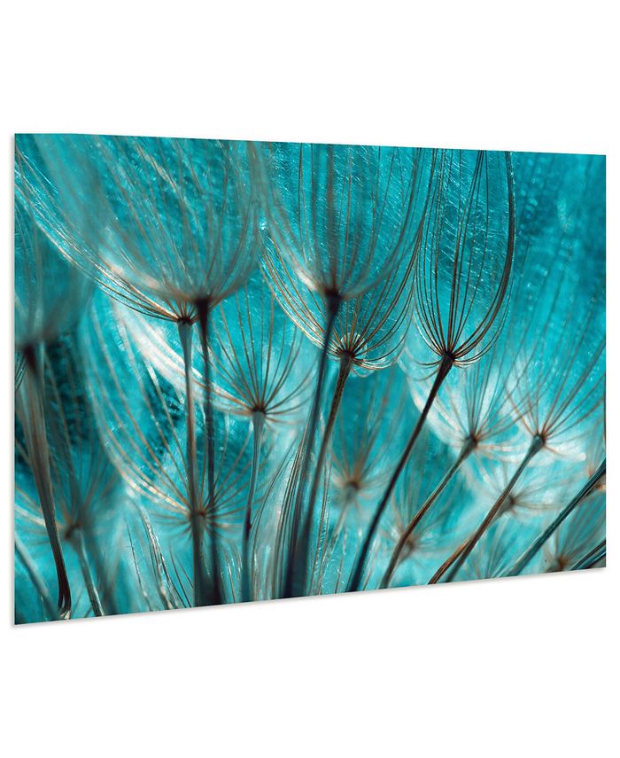 Empire Art Direct Dandelion Frameless Free Floating Tempered Art Glass Wall Art by EAD Art Coop
