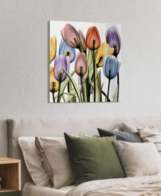 Tulip Scape x-ray II Frameless Free Floating Tempered Glass Panel Graphic Wall Art, 24" x 24" x 0.2"