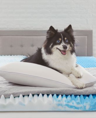 Comfort Revolution Memory Foam Pillow, Standard