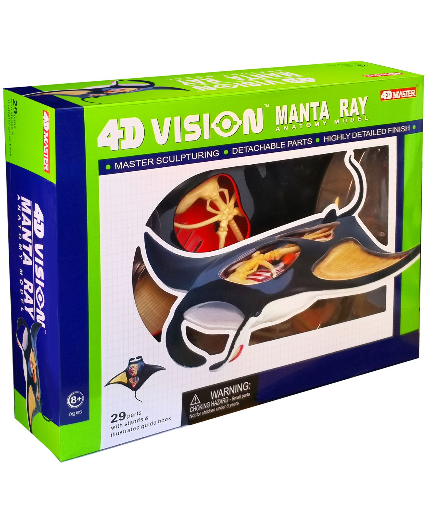 Детские игрушки Areyougame 4D Vision Manta Ray 29-Piece Anatomy Model, Ages 8+ — фото 1
