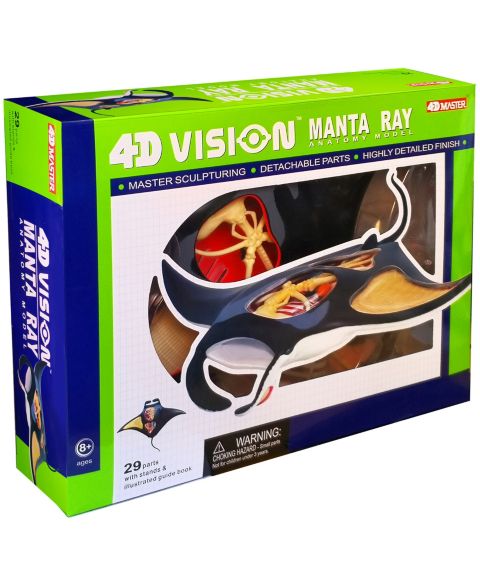 Детские игрушки Areyougame 4D Vision Manta Ray 29-Piece Anatomy Model, Ages 8+