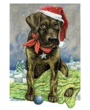 Designocracy Flurries Fetch Fun Santa Dog by Laura Seeley Pets Decor Set of 2
