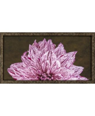 Paragon Picture Gallery