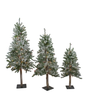 Northlight Pre-lit Flocked Alpine Artificial Christmas Trees, Set Of 3 In Green