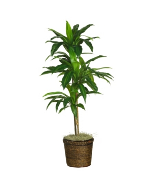 Nearly Natural Dracaena With Basket Silk Plant, Real Touch In Green