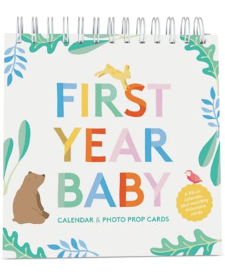 Chronicle Books - First Year Baby Calendar & Photo Prop Cards