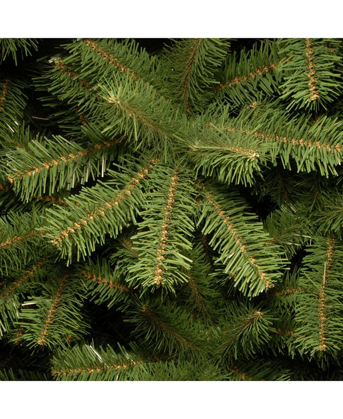6.5 ft. North Valley Spruce Pencil Slim Tree main image 1