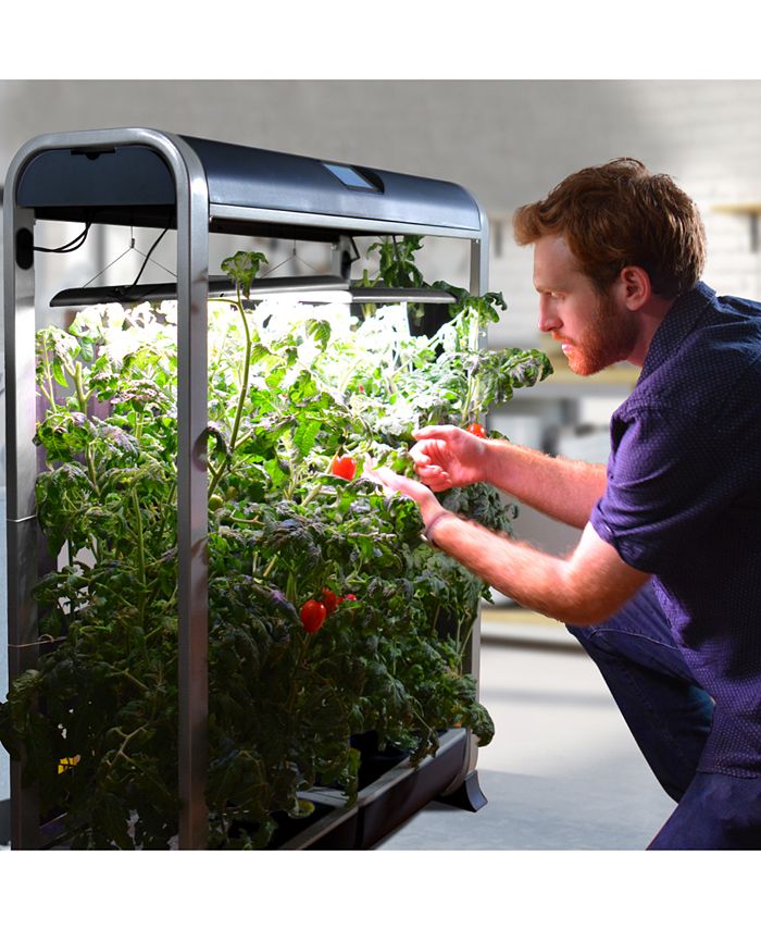 AeroGarden Farm 24XL with Salad Bar Seed Pod Kit, Black & Reviews