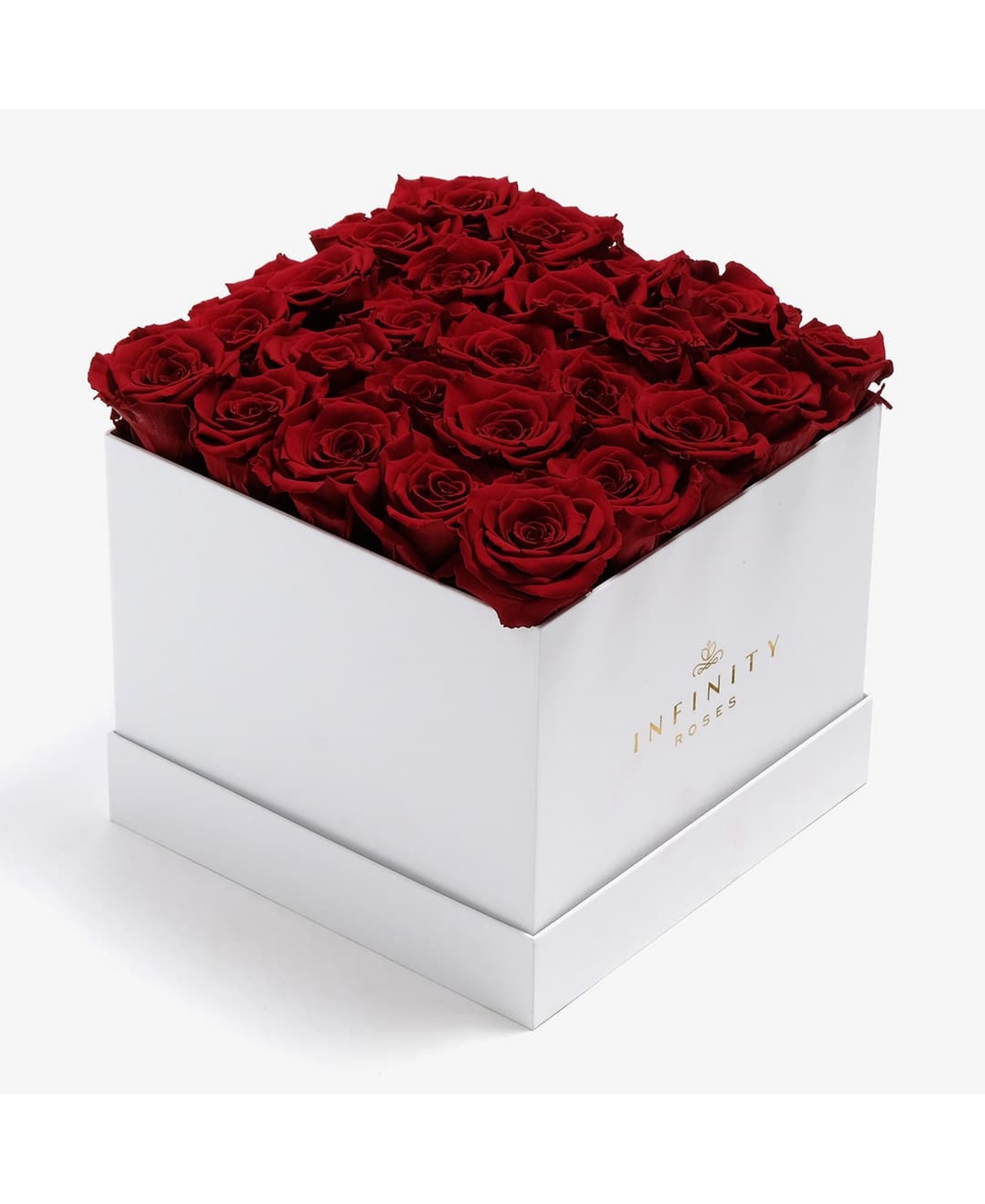 Square Box of 25 Red Real Roses Preserved to Last Over a Year - Red