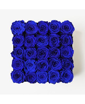 Infinity Roses - 