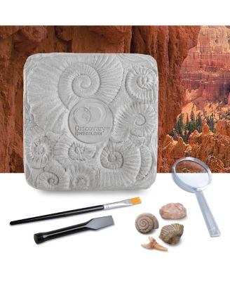 Toy Fossil Excavation Kit, 15 Pieces