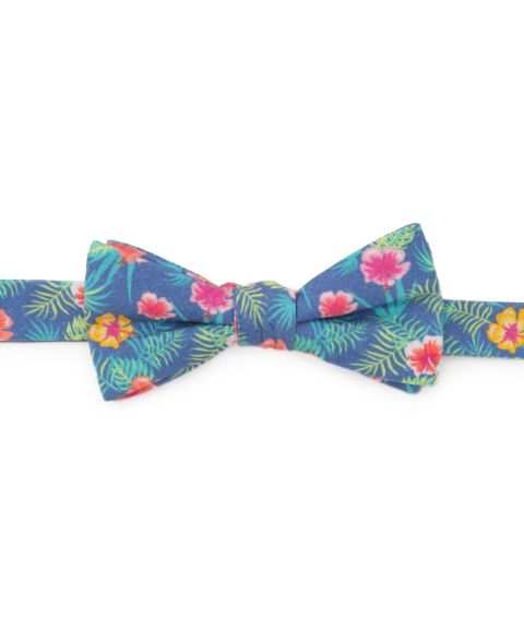 Мужские галстуки Cufflinks Inc. Tropical Bow Tie, цвет: Синий